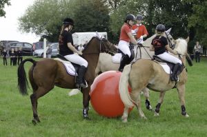 Der Kreisverband Mittelsachsen präsentierte sich in Altmittweida u.a. mit Pferdefußball.